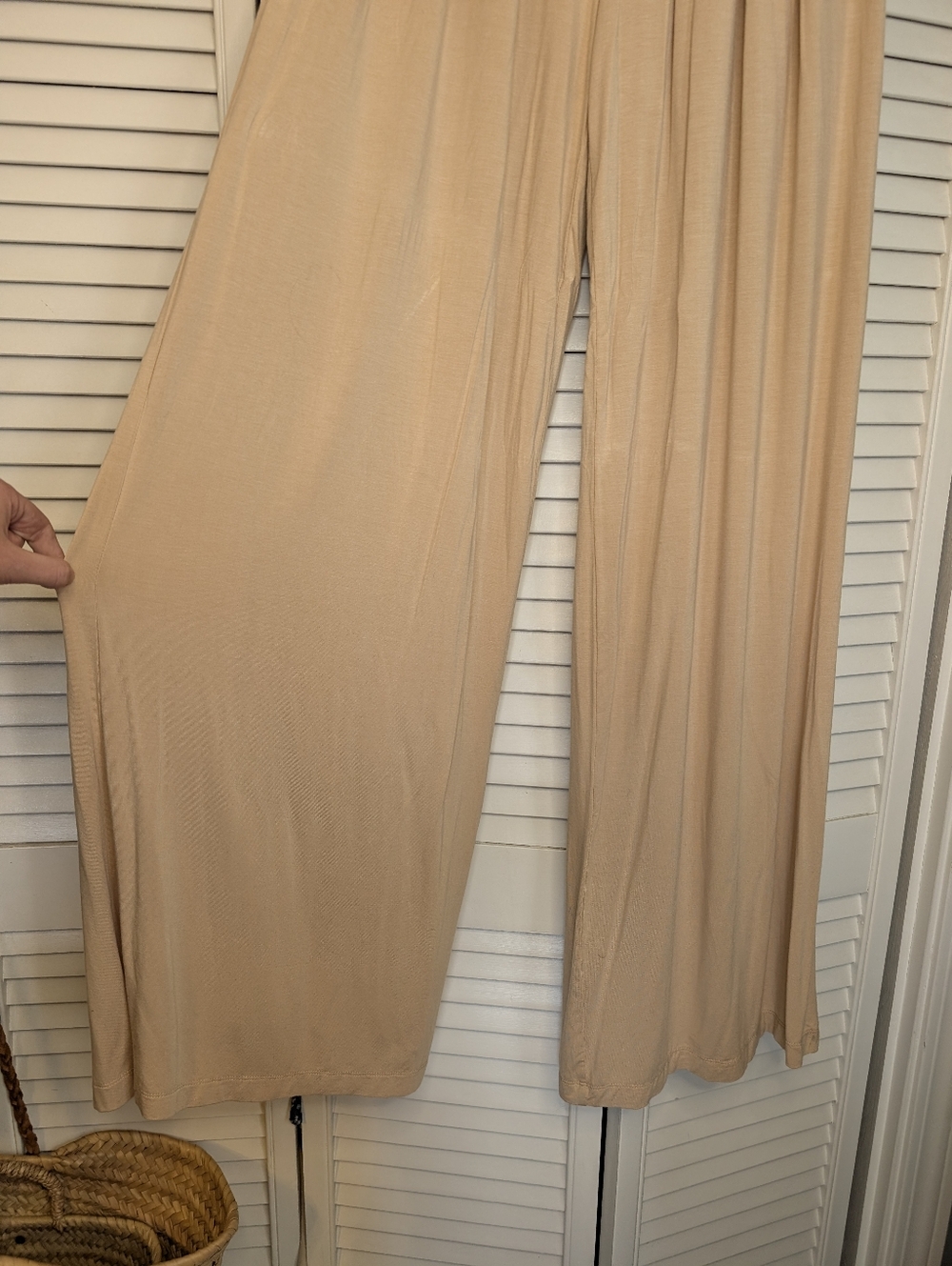 JLUXLABEL Tan Beige Devyn Wide Leg Pleated Trousers Size S NWT - Picture 5 of 13
